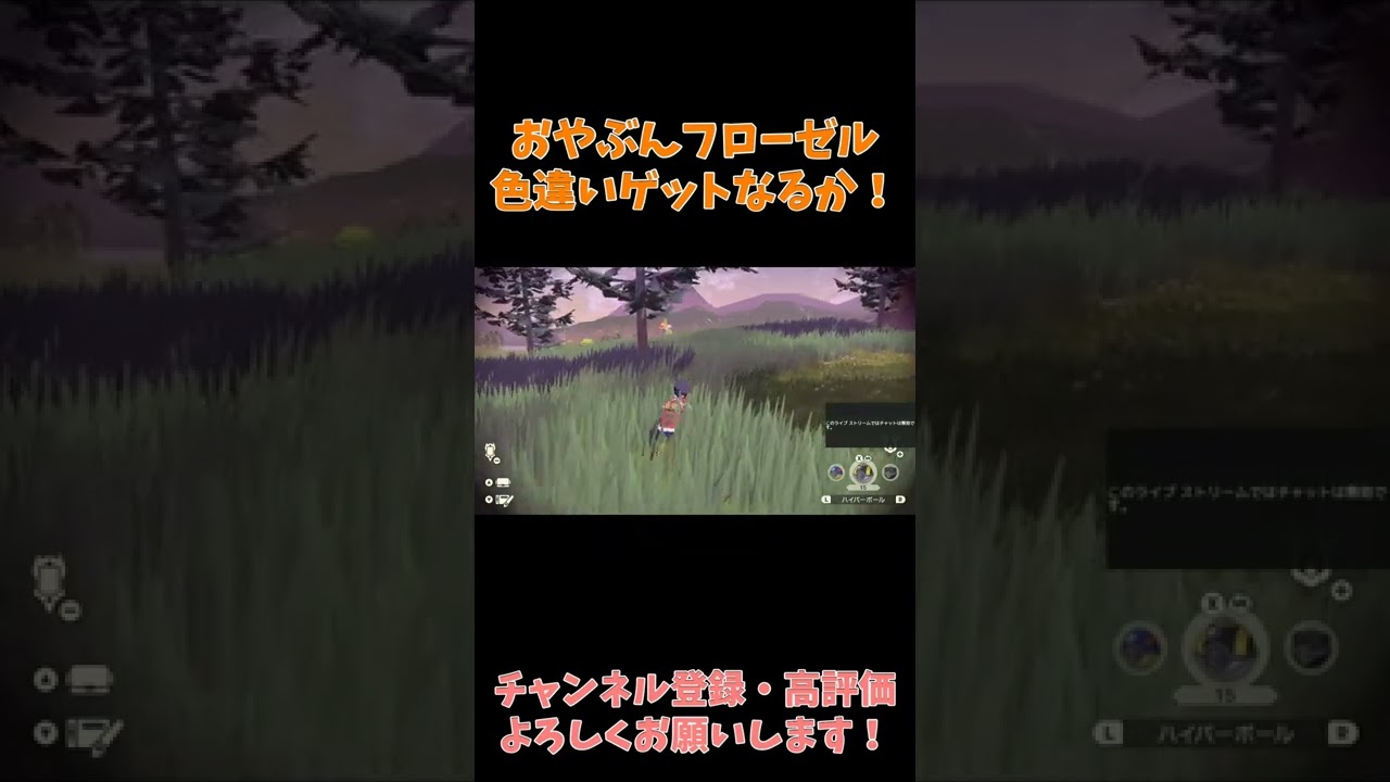 おやぶんフローゼルの色違いゲットなるか！【PokémonLEGENDSアルセウス】【ポケモンアルセウス】