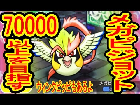 70000点を超えろ！メガピジョットランキング&ウィンクピッピ　ポケトル実況