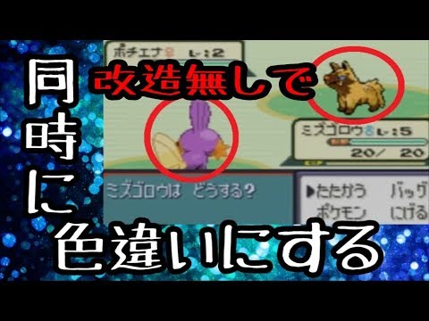 御三家と博士を追いかけるポチエナを同時に【ポケモン】