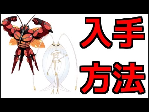 【ポケモンサンムーン】マッシブーン、フェローチェの出現場所『ポケットモンスター サン・ムーン』
