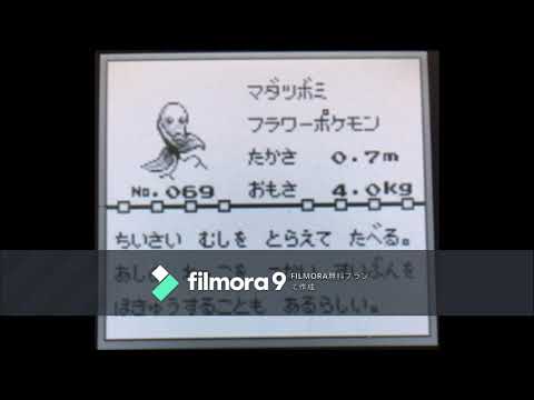 【図鑑NO069】マダツボミ　鳴き声