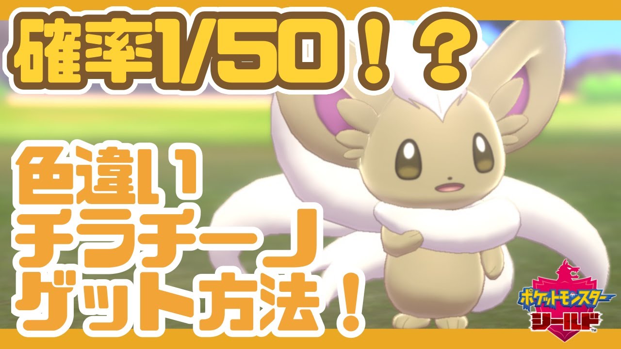 1/50の確立で色違いチラチーノをゲットできる！レイドバトルイベント！【ポケモン剣盾】【色違い】