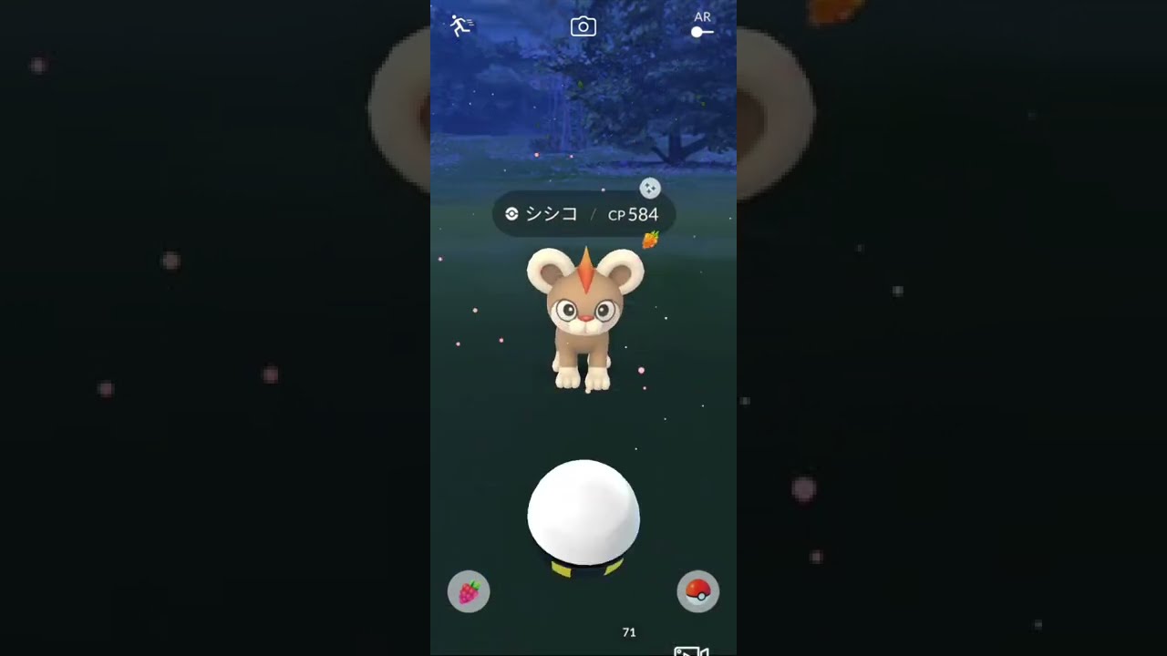 シシコ　野生で色違いGET！！