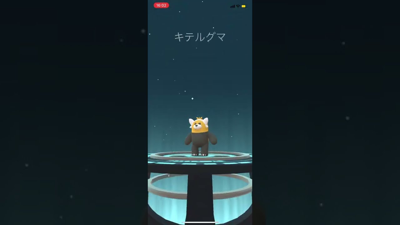 【ポケモンGO】色違いヌイコグマ➡︎キテルグマ【コミュデイ2022年4月】 #shorts #ポケモンGO