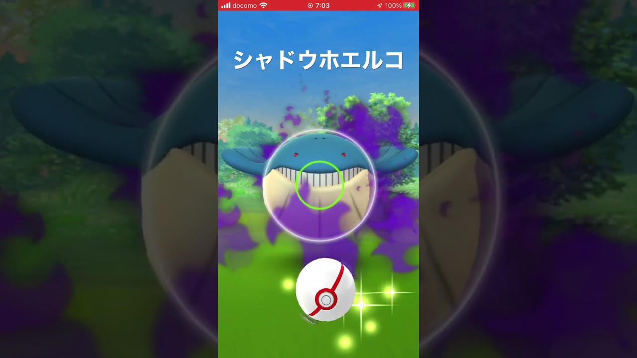 シャドウ ホエルコ