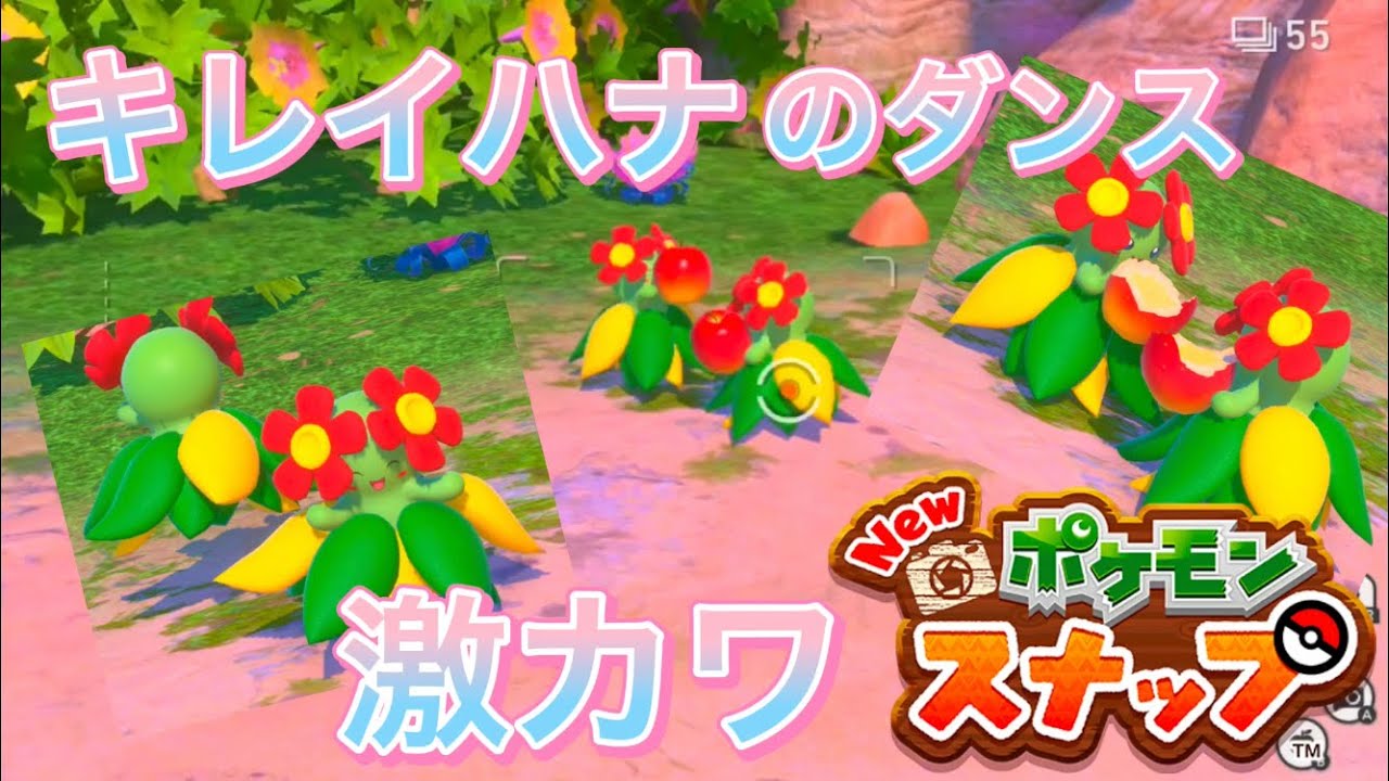 #shorts キレイハナに大興奮する男