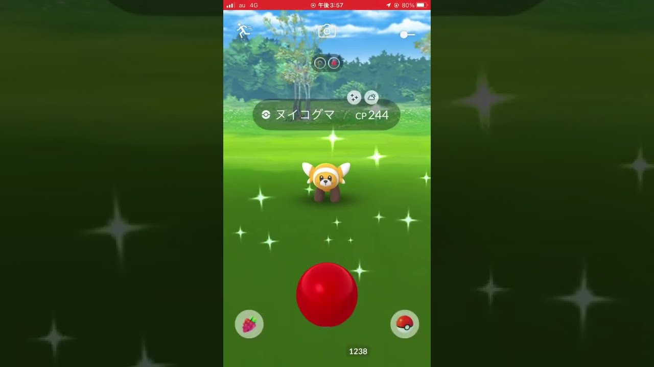 色違いヌイコグマ捕獲完了！！ PokemonGO ポケモンGO