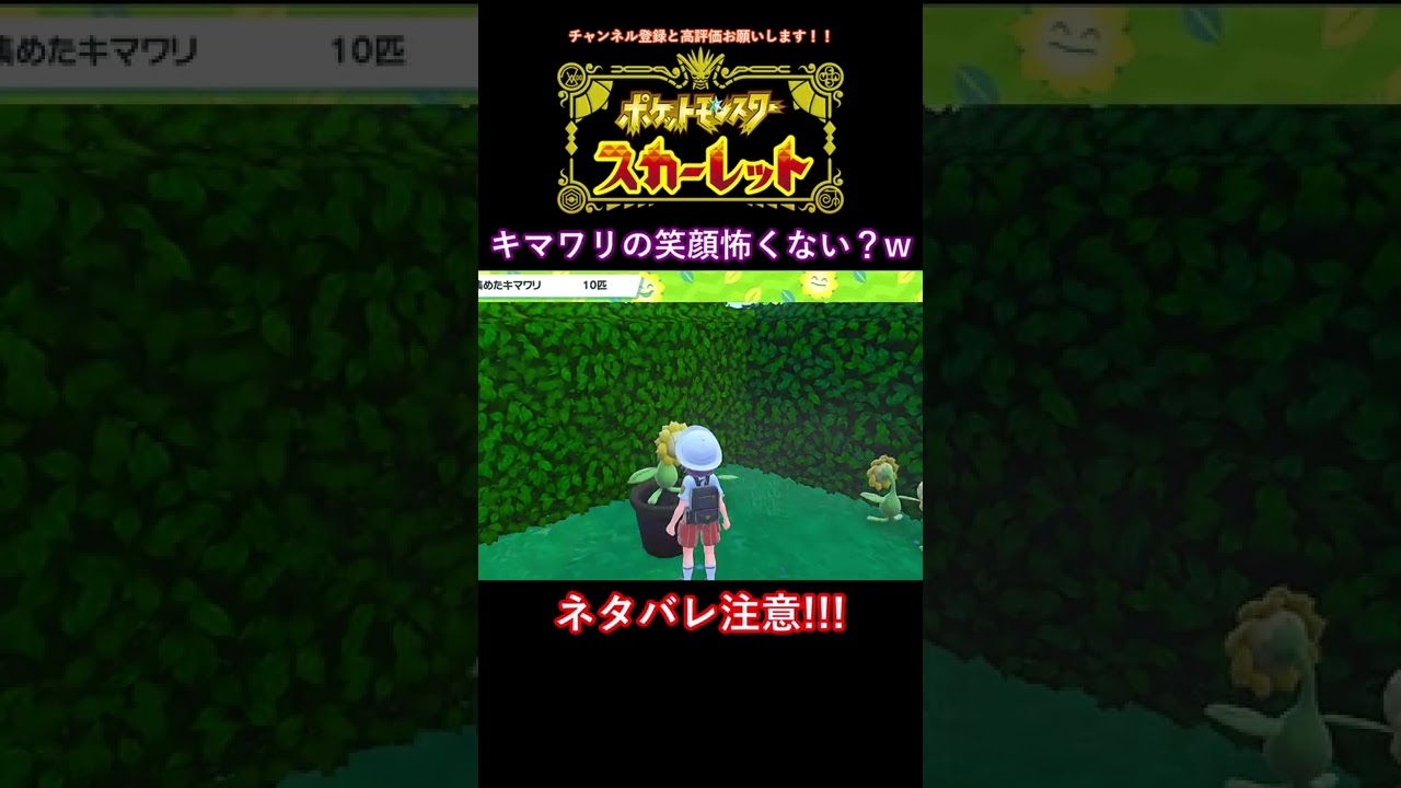キマワリの笑顔怖くない？w【ポケットモンスタースカーレット】