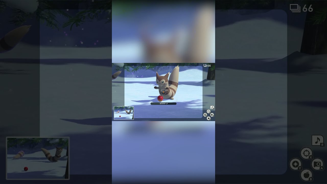 【Newポケモンスナップ NEW POKÉMON SNAP】オオタチ喜びの舞 #shorts
