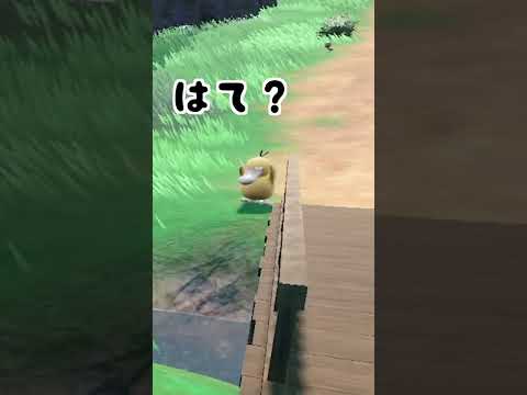 【ポケモンSV】コダックが可愛すぎてバトルに全然集中できないw#shorts