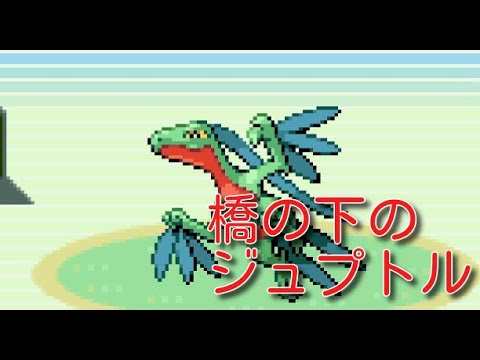 【#10】目隠しエメラルド　vs橋の下のジュプトル