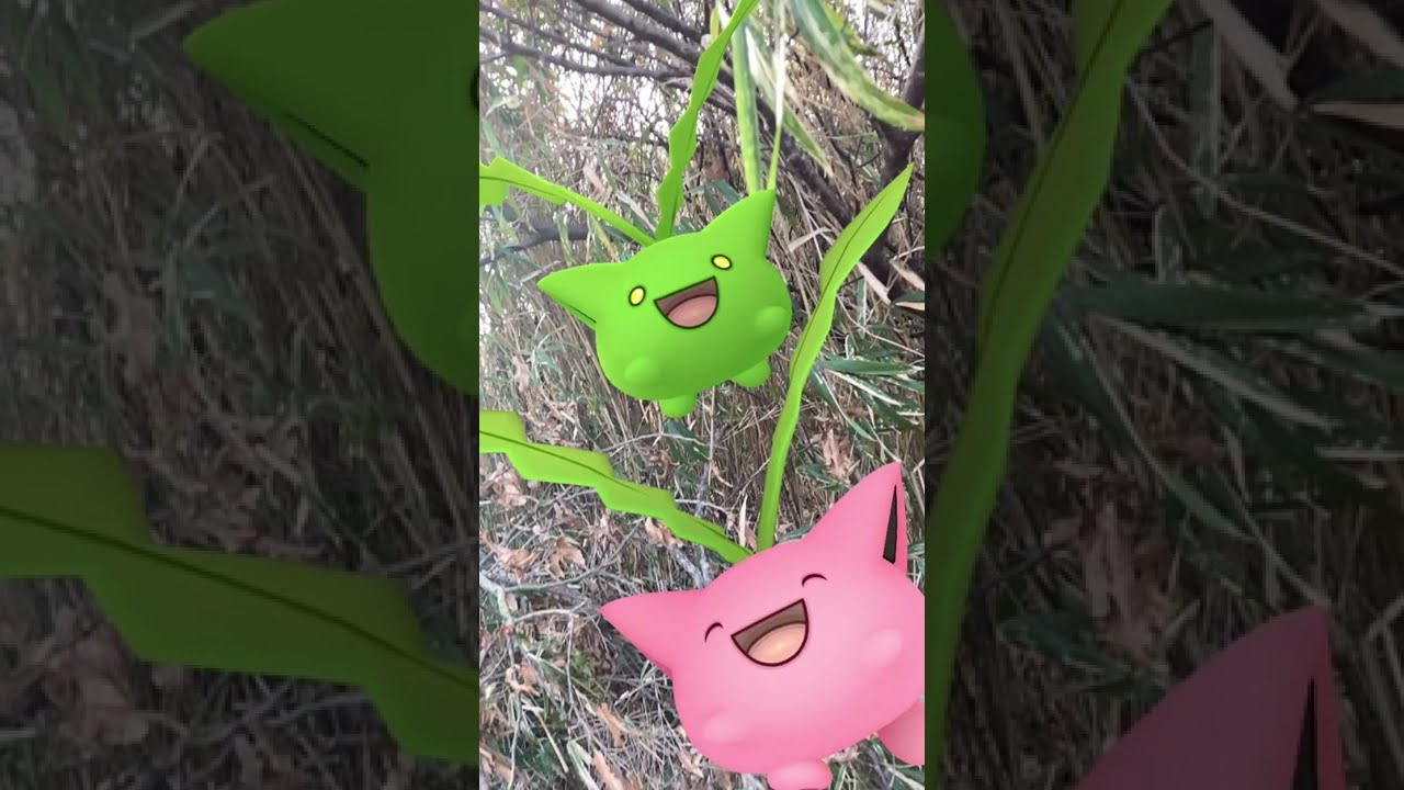ハネッコ｜Hoppip｜ポポッコ｜Skiploom｜ワタッコ｜Jumpluff｜Shiny Pokémon｜GOphotobomb【ポケモンGO】｜AR動画｜PoKeMoN GO AR｜#Shorts