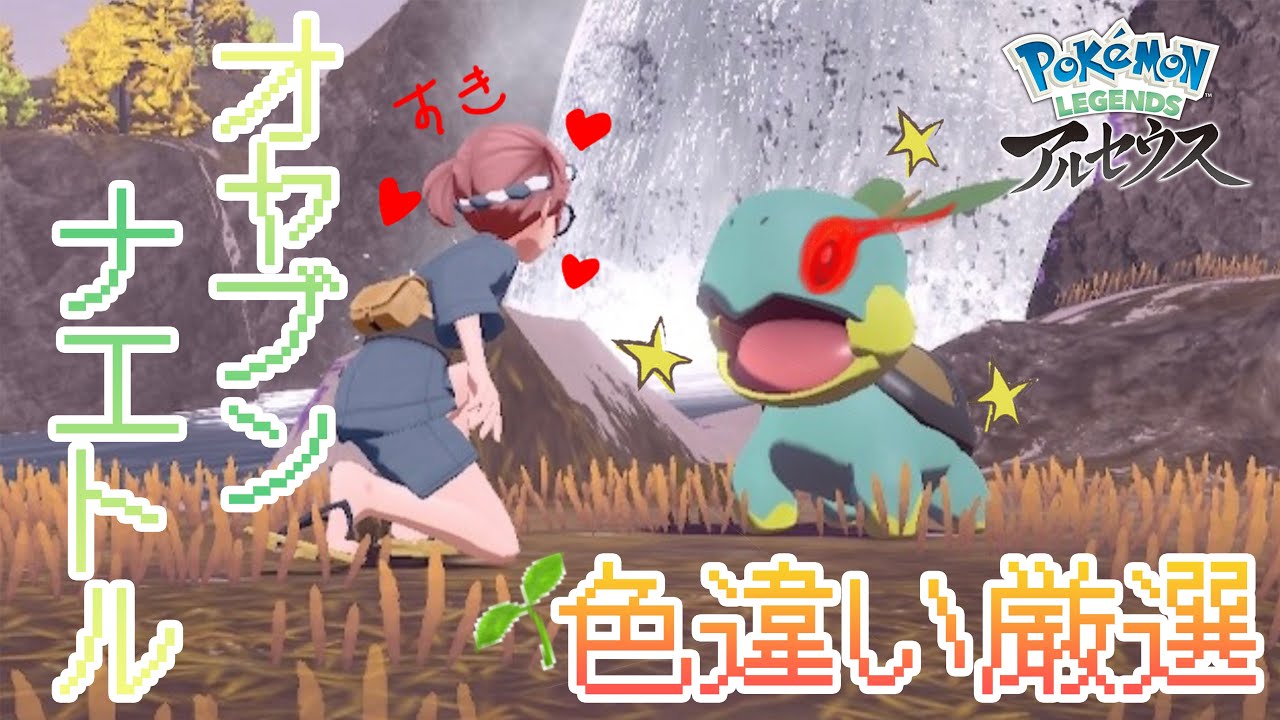 【かわいい】オヤブンナエトルの色違いを捕まえたい！！【ポケモンレジェンズアルセウス】
