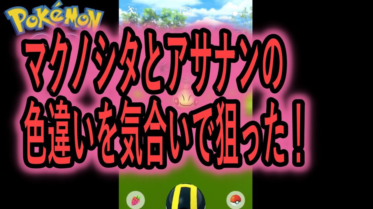 マクノシタとアサナンの色違いを２日間に渡って取りまくった【ポケモンGO】