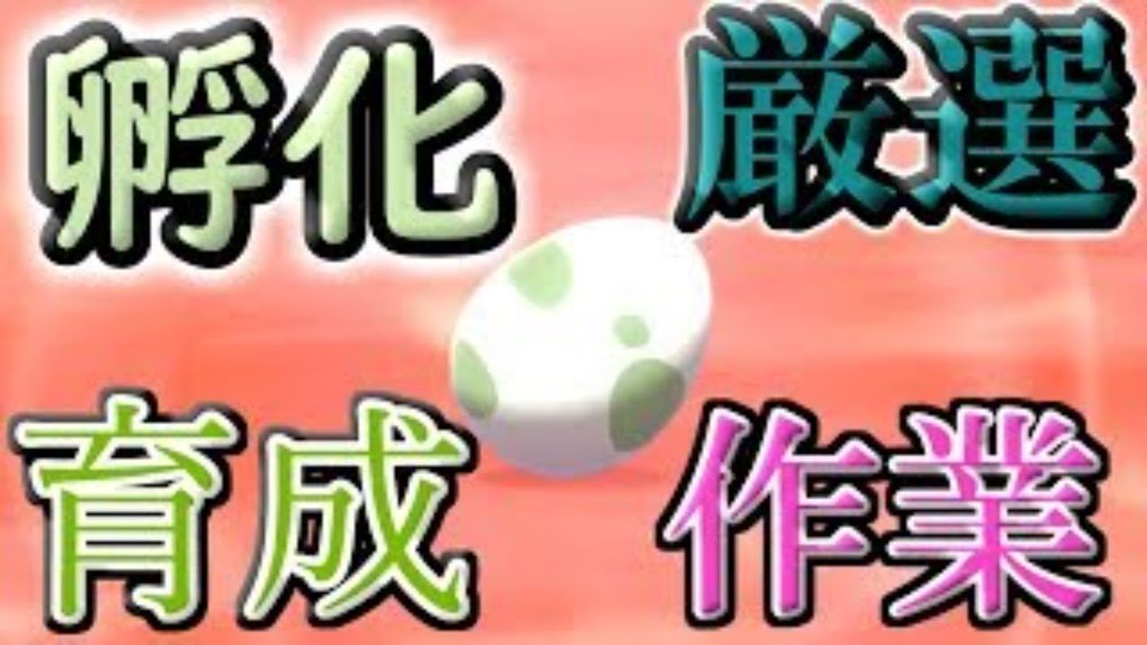 【ポケモン剣盾】色違い孵化雑談 サファリボール 夢カムカメ編