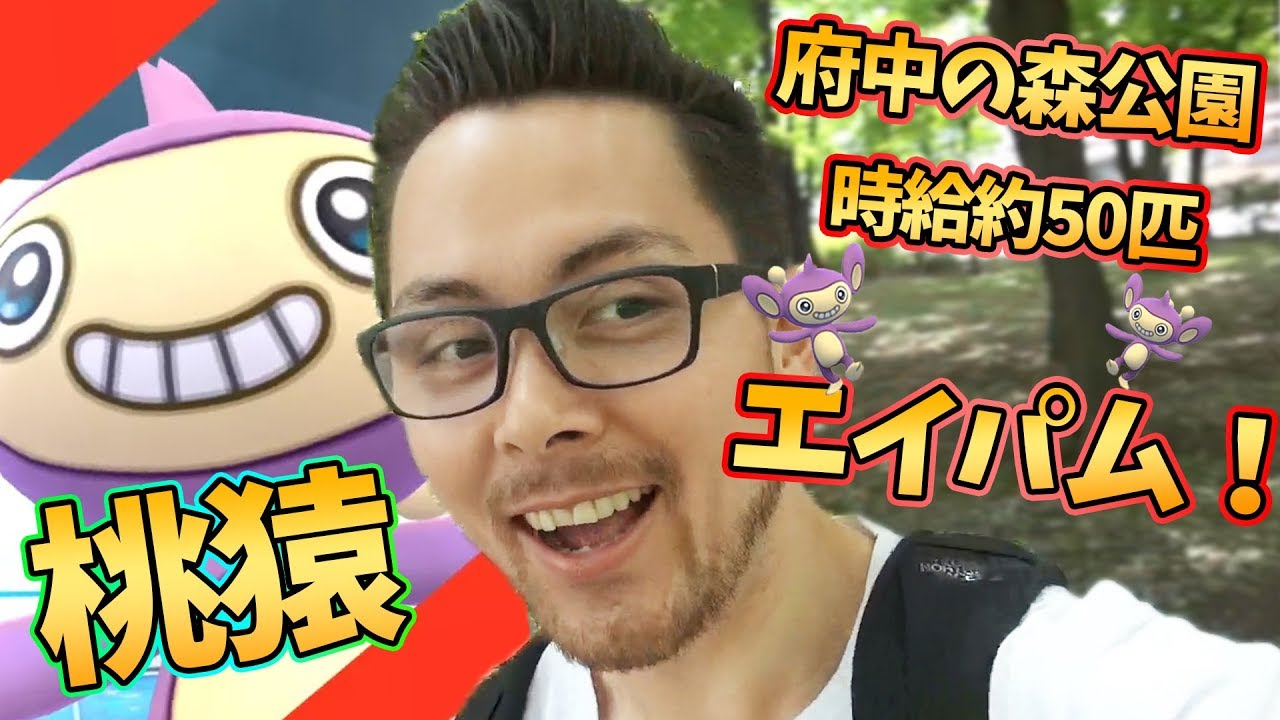 エイパムの色違いをエイパムの巣に探しに行った結果は…【ポケモンGO】