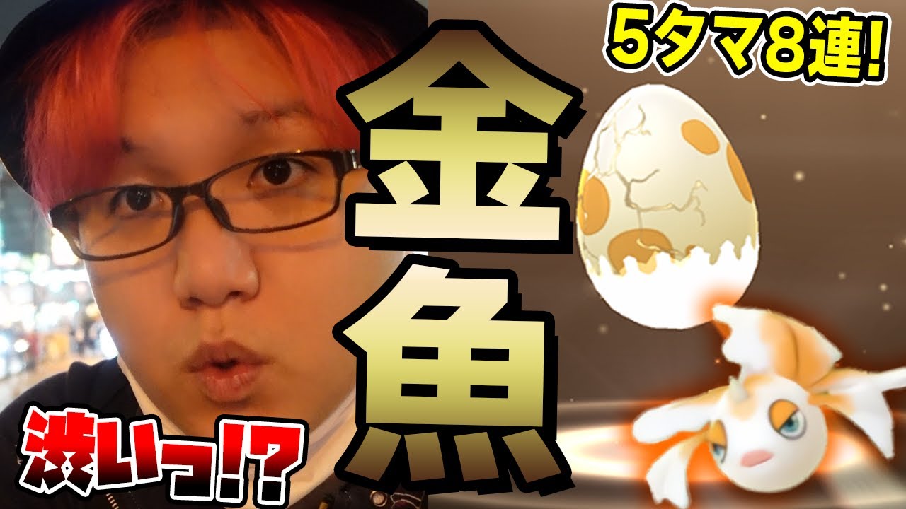 金トサキントの確率エグ過ぎ!?極寒ロケで全力金魚集めをした結果…!?!?【ポケモンGO】