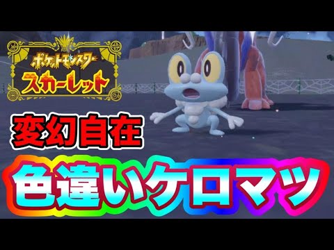 実装初日に色違いケロマツを出して発狂してしまう男　【ポケモンSV】