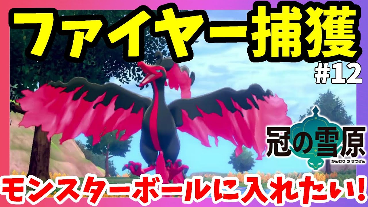 【ポケモンソードシールド】伝説ファイヤーをモンスターボールでゲットしたい！超時間の格闘に！？#12冠の雪原【エキスパンションパス】