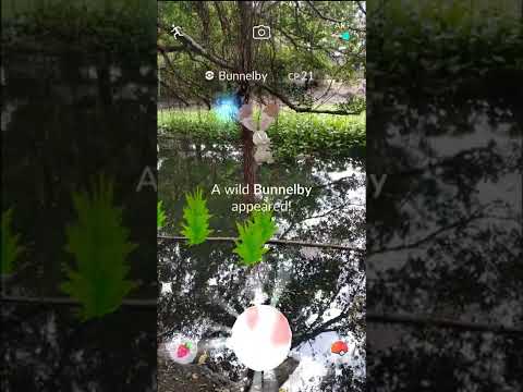 Bunnelby ~ ホルビーHorubī : Bunny's