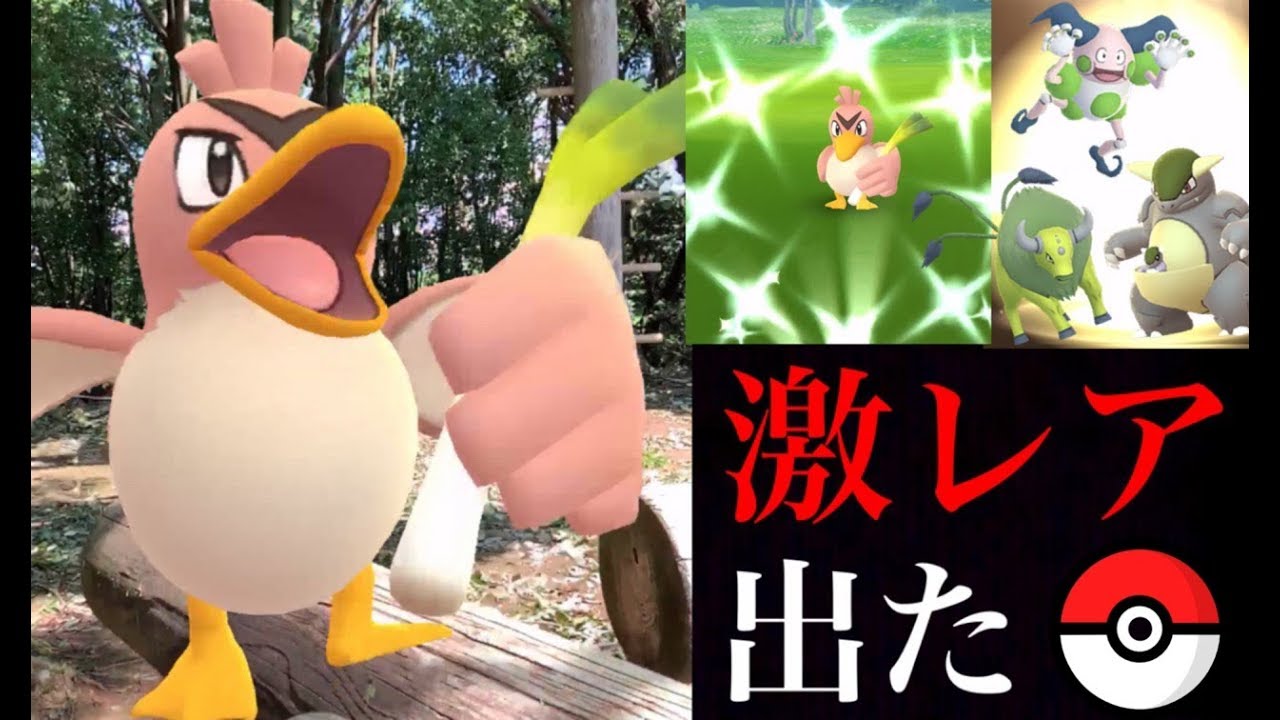 【ポケモンGO】まさかの奇跡！色違いカモネギのタップ数がヤバかった・・。地域限定ポケモンの孵化率も初日にブーストか？【ウルトラボーナス・２週目】