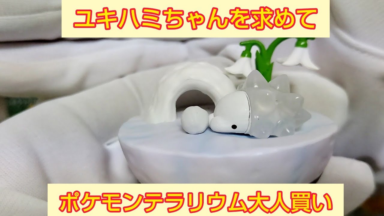 【ユキハミ】ポケモンテラリウムコレクションEX ガラル地方編2