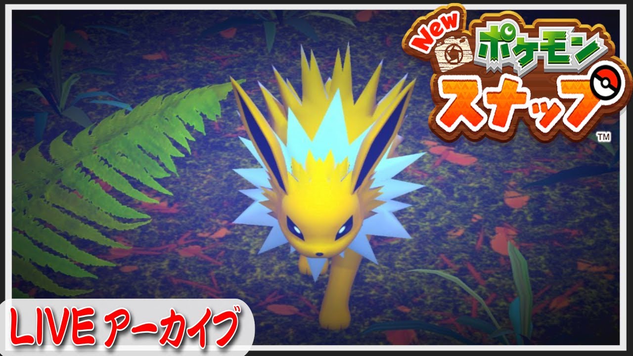 ブイズ最難関？サンダース撮影会【Newポケモンスナップ】