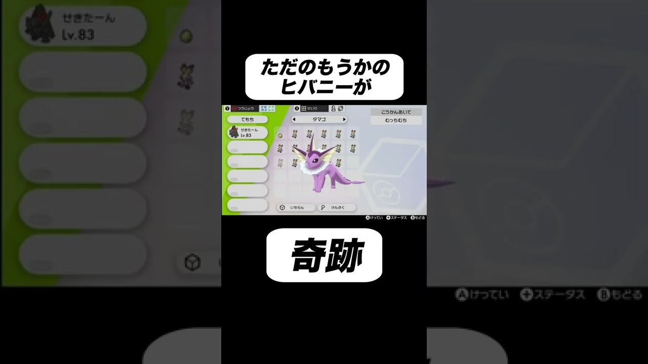 もうかのヒバニーが奇跡を起こす #shorts