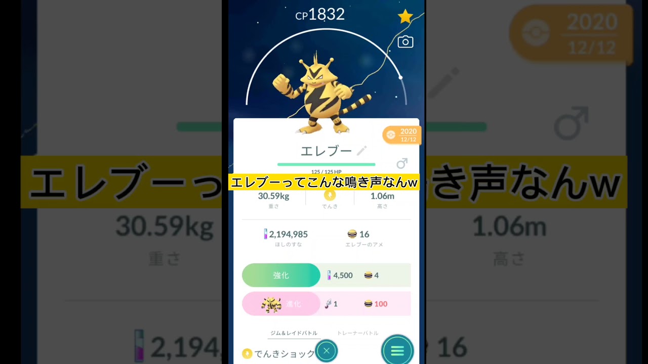 エレブーの鳴き声が地味にジワるw