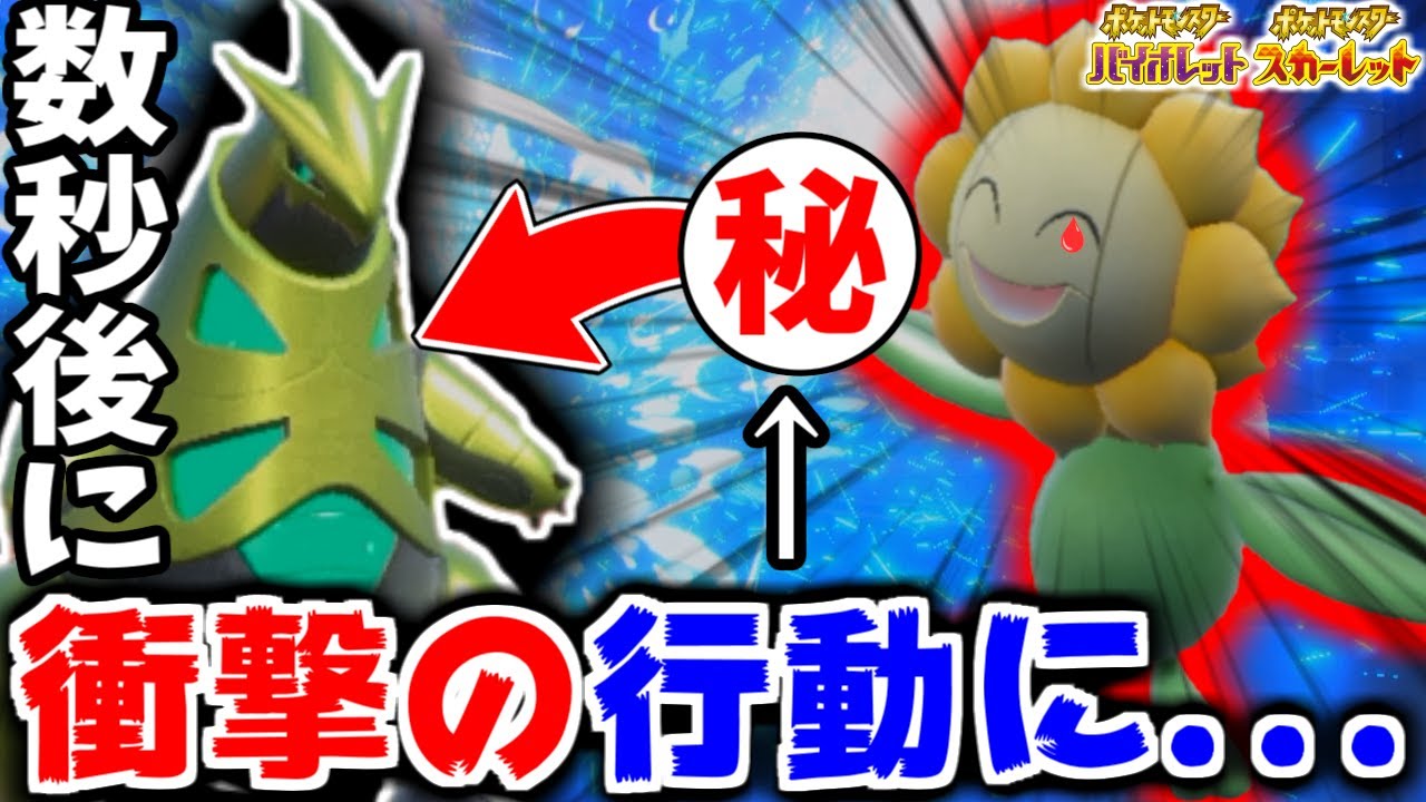 ※嘘だろ...  対戦相手が使ってきた「キマワリ」がこの5秒後、衝撃の行動に・・・【ポケモンSV】