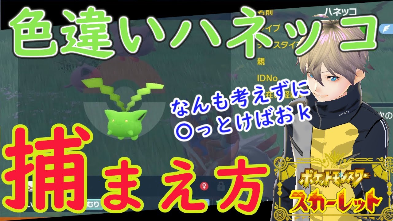 ピクニックリセットすらめんどい！色違いハネッコの捕まえ方【ポケモンSV】【ブロディ】【色違い厳選】