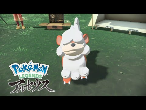 【ポケモンアルセウス】ヒスイガーディ 出現場所 捕まえ方【Pokemon LEGENDS アルセウス】