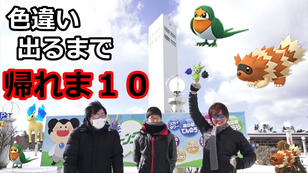 ジグザグマスバメ実装！色違い出るまで帰れま１０【ポケモンGO】