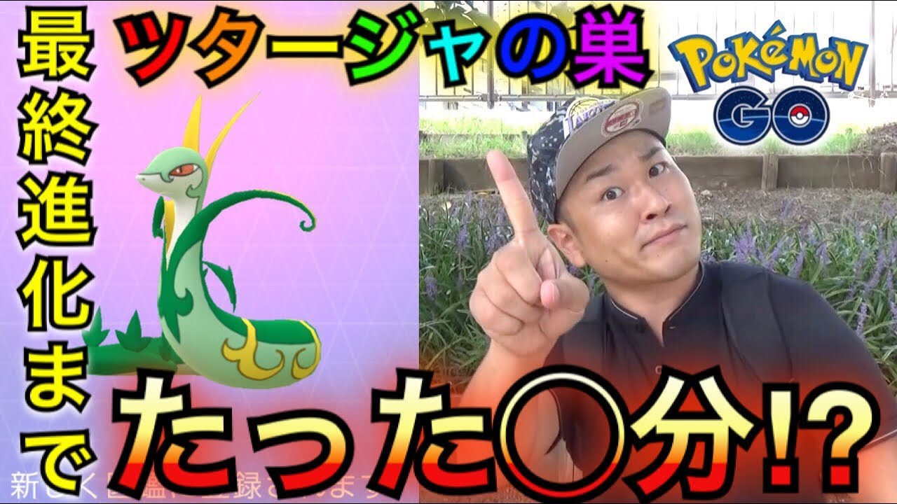 【ポケモンGO】巣の検証！景観！湧き具合！ツタージャの巣が丁度いい！【最終進化】