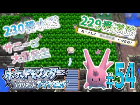 ＊54【230番水道 / 229番道路】サニーゴ大量発生！そして遂に、あの恒例のおじさんも登場！？「ポケットモンスター ブリリアントダイヤモンド」を実況プレイ！【ポケモンBDSP】