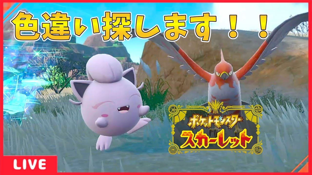 【ポケモンSV スカーレット】ヤヤコマをマスターボールに入れたい