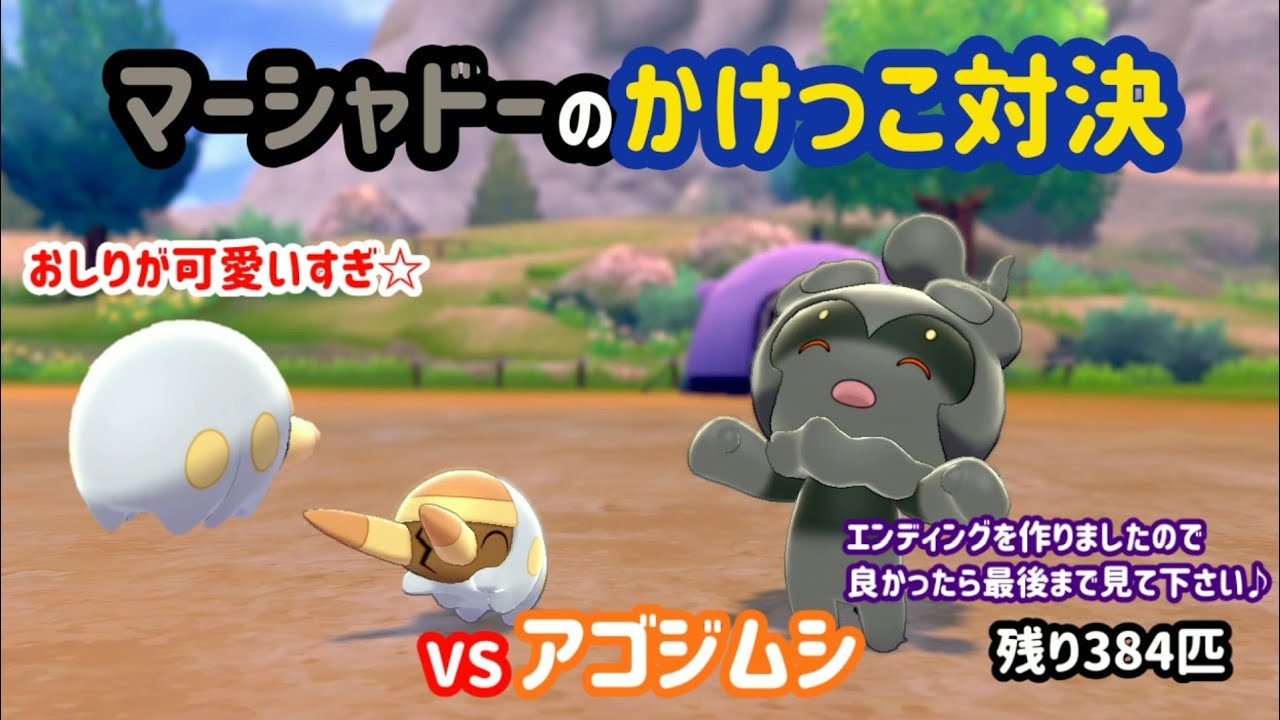 VSアゴジムシ ガラル図鑑No.16 【マーシャドーのかけっこ対決】