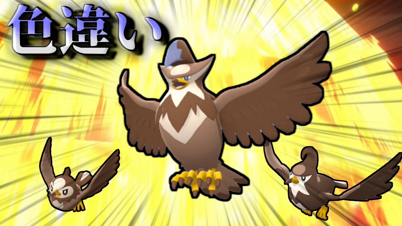 【ポケモンBDSP】ポケトレで色違いムックルを捕まえて、ムクホークに進化させたい！【ダイパリメイク】【ゆっくり実況】