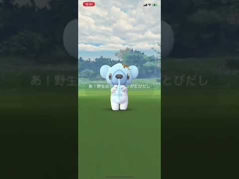 【ポケGO】ポケモンGO クリスマス仕様のクマシュンが実装されてた！