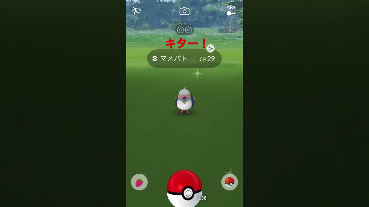【ポケモンGO】マメパト色違い！ #shorts #ポケモンgo #色違いポケモン
