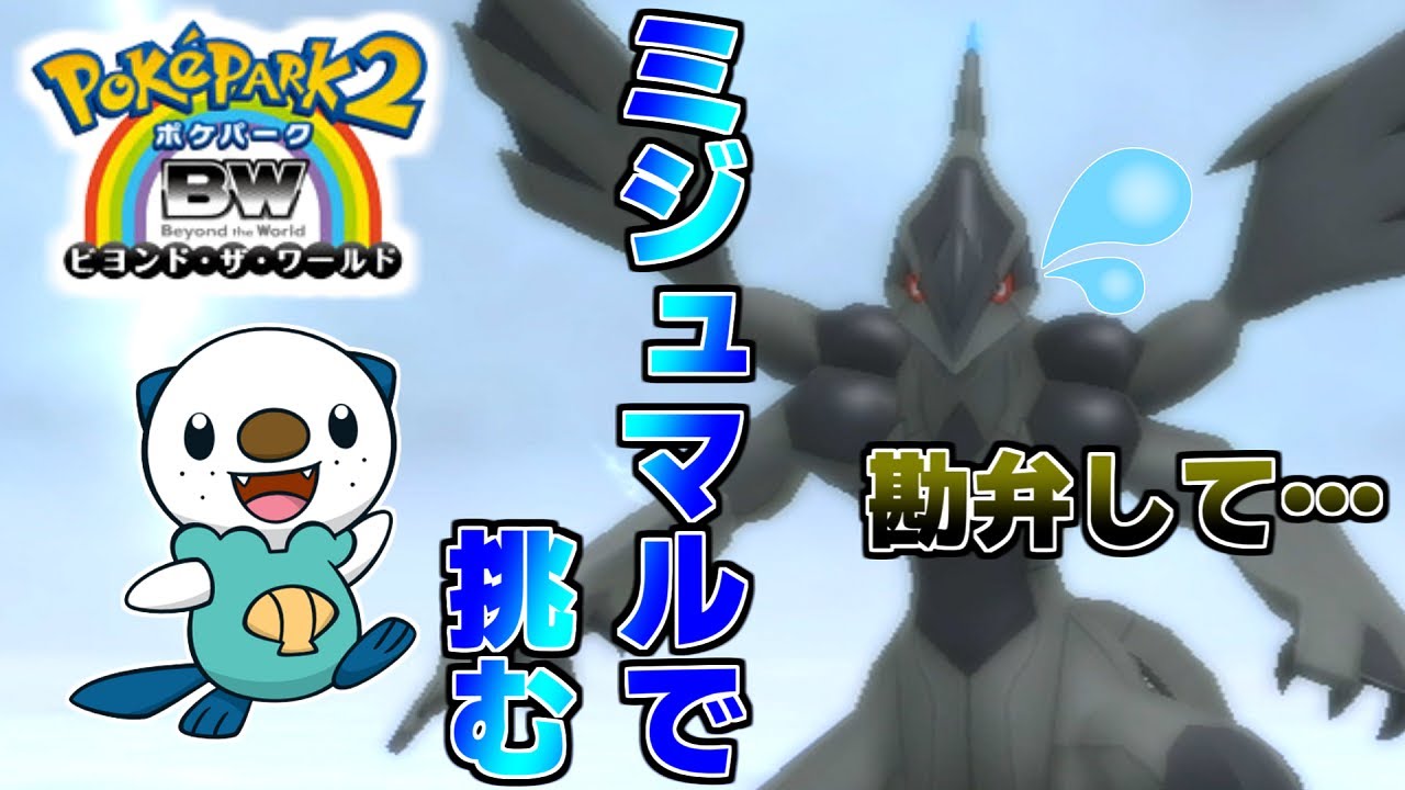 【下克上】ゼクロムがミジュマルに勝てると思ってんの？ww【ポケパーク2～Beyond the World～】