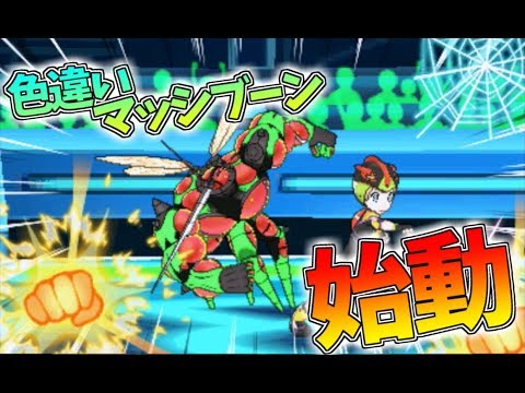 【ポケモンUSM】色違いマッシブーン、始動【ゆっくり実況】ウルトラサン ムーン