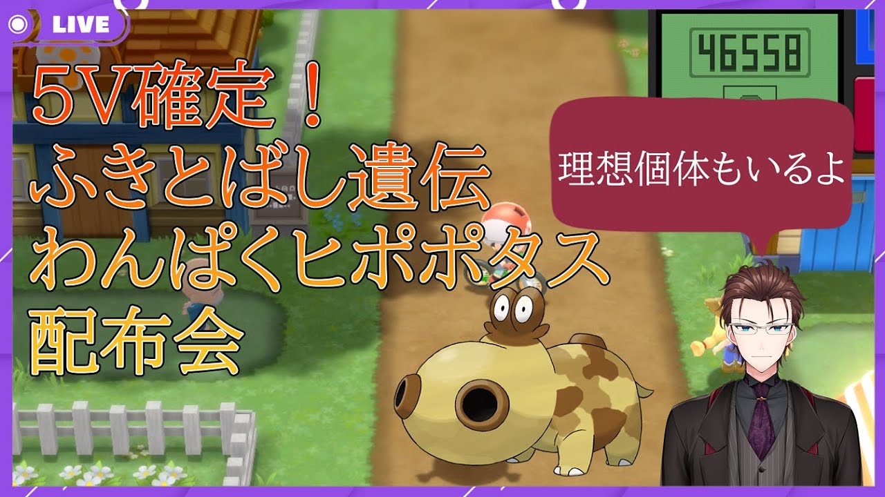 【ポケモンBDSP】5V確定！わんぱくヒポポタス配布会【Vtuber】