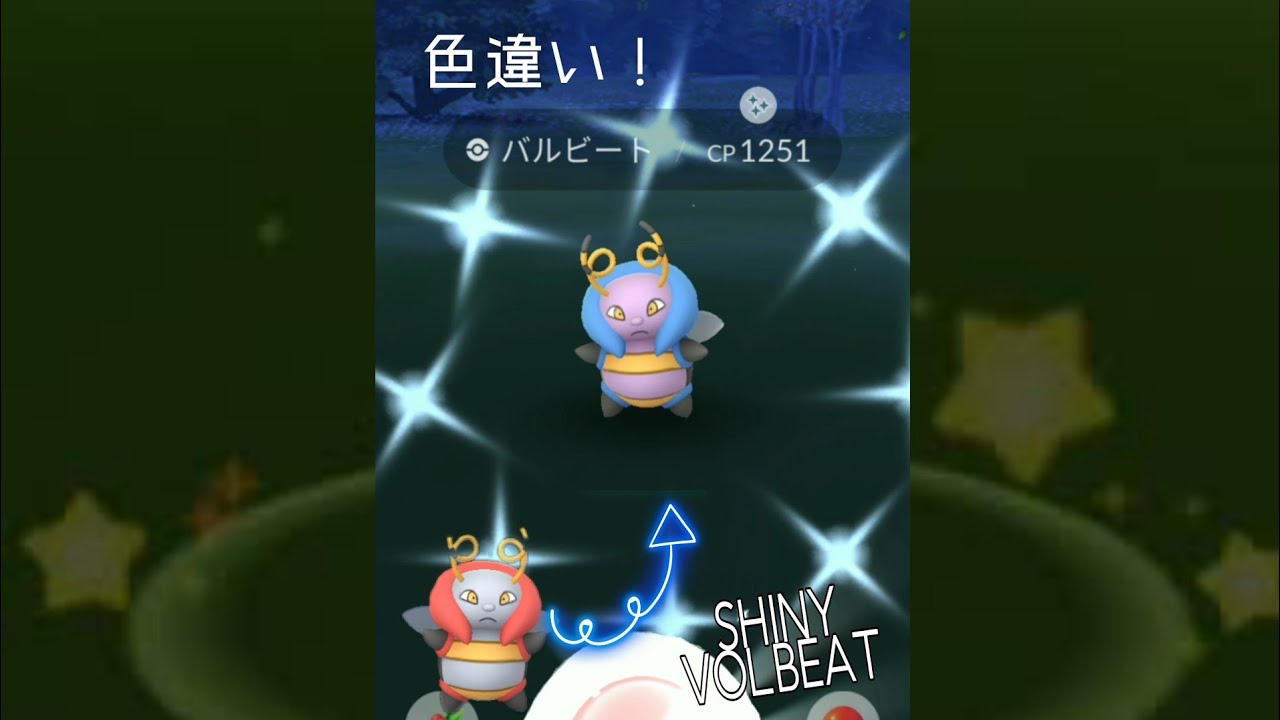 【SHINY Pokémon】SHINY VOLBEAT  !! Pokemon Go / 色違いバルビート 【色違いゲット】