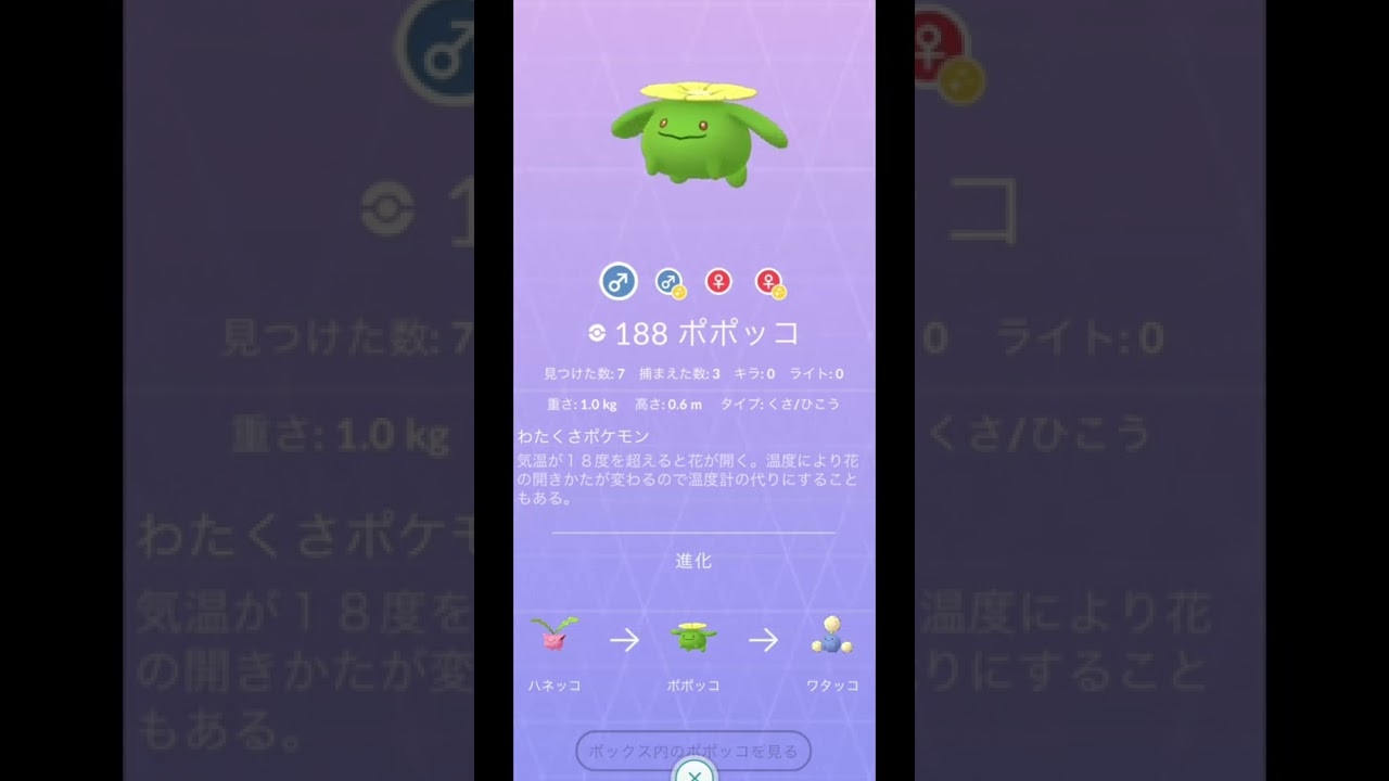 ハネッコ色違いからの〜【色違いポケモン】ダイパリメイク　レジェンドアルセウス