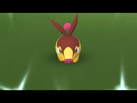 【ポケモンGO】色違いポカブ！コミュニティデイ #shorts