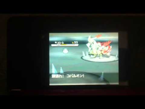 ポケモン ブラック2 ホワイト2 vsホワイトキュレム