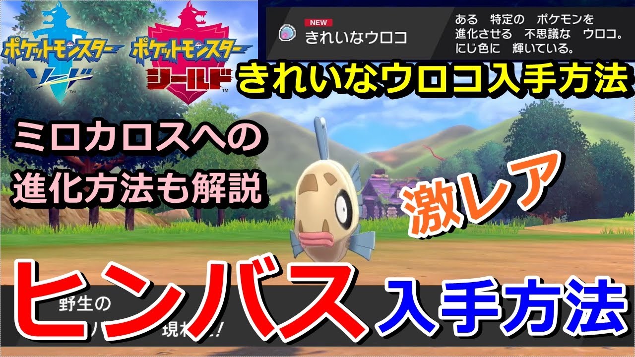 【ポケモン剣盾】『ヒンバス』の出現場所・入手方法！ミロカロスへの進化条件！実況解説【ソード・シールド】ニャン速ちゃんねる
