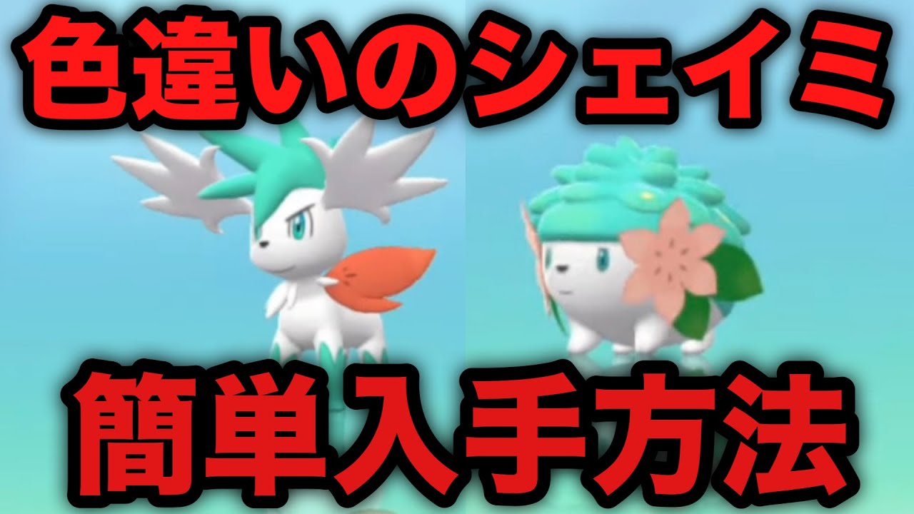【ポケモンBDSP】色違いシェイミ 簡単入手方法【ブリリアントダイヤモンド/シャイニングパール】