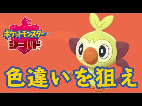 【ポケモン剣盾】色違い厳選（サルノリ編）